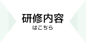 詳細な研修内容についてはこちらのページでまとめていますのでご覧ください。